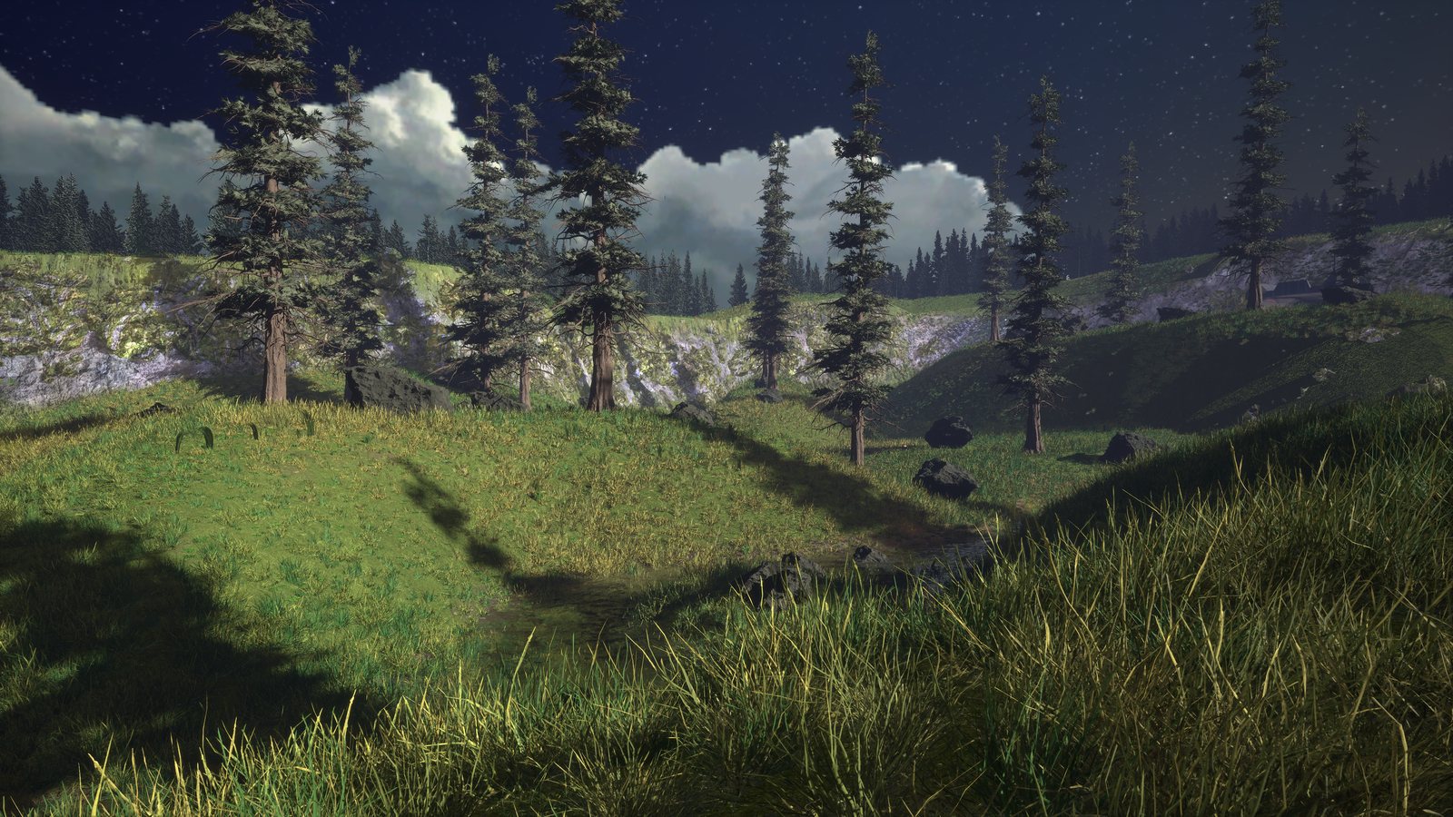 Through the trees (remastered)