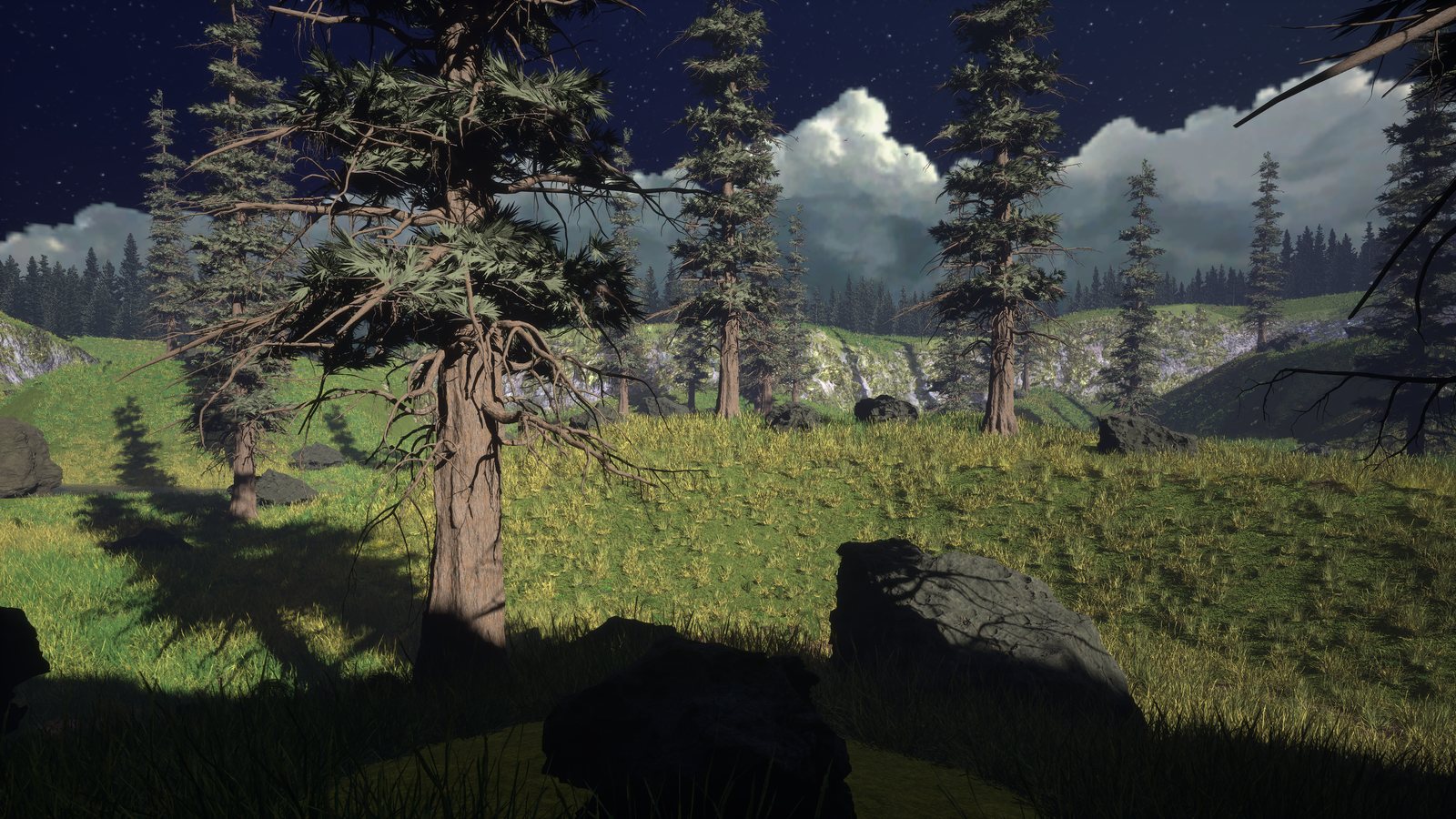 A lone pine (remastered)